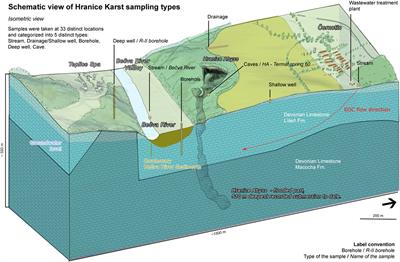 Occurrence and path pollution of emerging organic contaminants in mineral water of Hranice hypogenic Karst